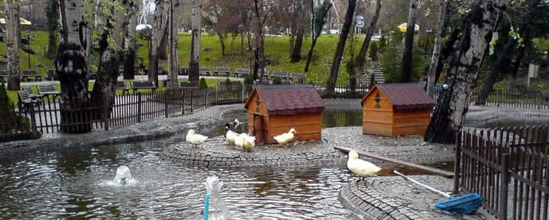 Kuğulu Park - Ankara