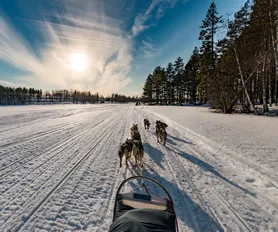 Lapland Turu
