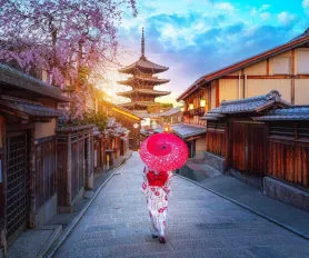 Büyük Japonya Turu
