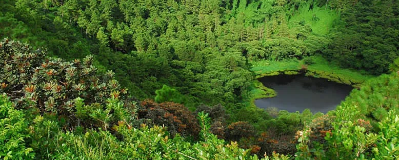 Trou Aux Cerfs Krateri - Mauritius