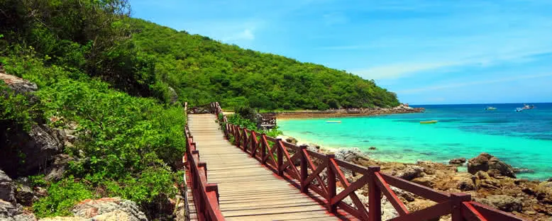 Mercan Adası - Pattaya