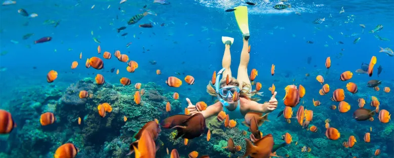 Mercanlara Dalış - Sharm El Sheikh 