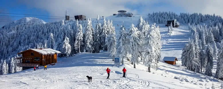 Merkezler - Poiana Brasov