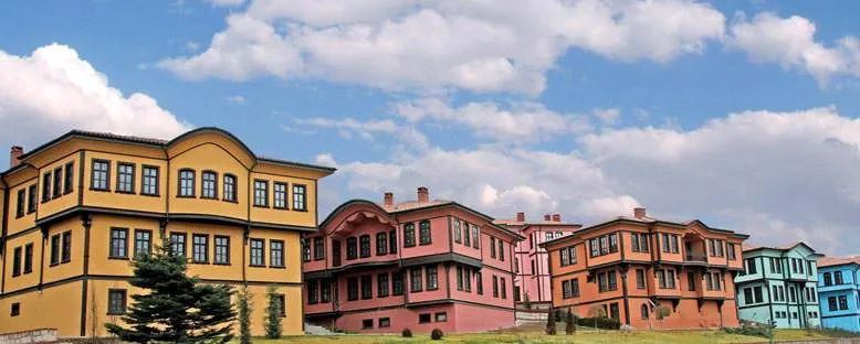 Odunpazarı Evleri