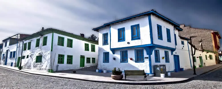 Odunpazarı Evleri - Eskişehir