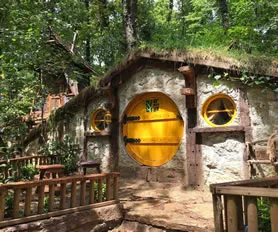Sapanca Ormanya Maşukiye Turu