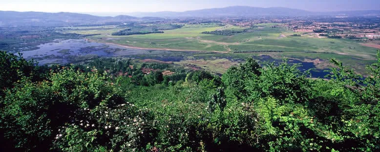 Park Panoraması - Efteni Gölü