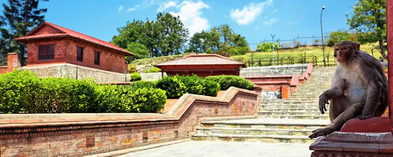 Pashupatinath Tapınağı - Katmandu