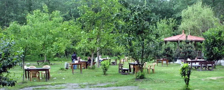 Piknik Alanları - Maşukiye