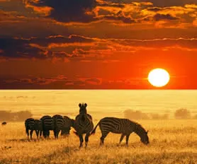 Güney Afrika Turları (Vizesiz)