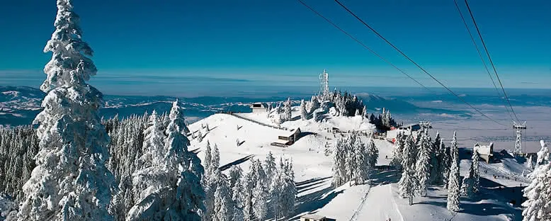 Pistler - Poiana Brasov