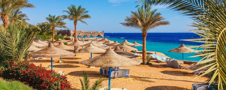 Plaj Keyfi - Sharm El Sheikh