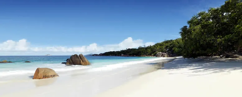 Praslin Kıyıları - Seyşeller