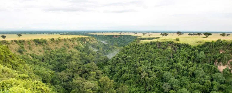 Queen Elizabeth Milli Parkı - Uganda