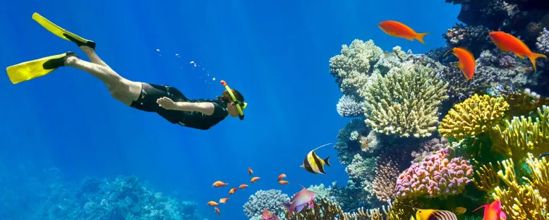 Ras Muhammed Dalış Turları - Sharm El Sheikh