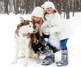 Lapland Turu