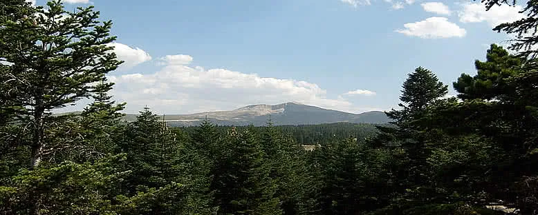 Sarıalan Yaylası - Uludağ