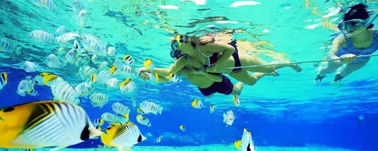 Scuba Dalış - Cayo Santa Maria