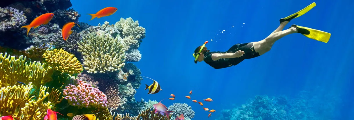 Vizesiz Sharm En İyi Fiyatlarla