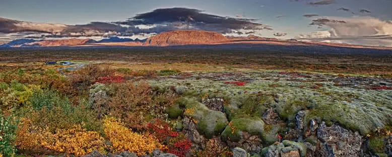 Sonbahar - Thingvellir Ulusal Parkı