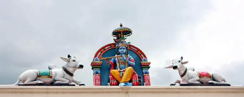 Sri Mariamman Tapınağı - Singapur