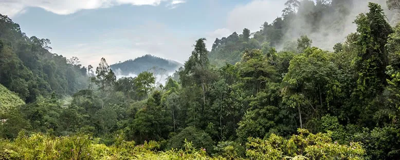 Ulusal Park - Taman Negara