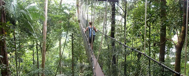Yağmur Ormanlarında Gezinti- Taman Negara