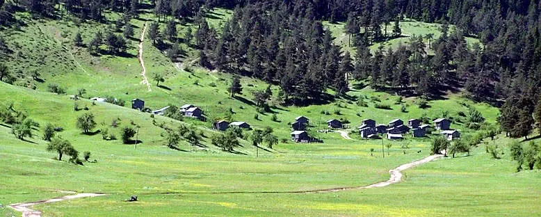 Yaylalar - Abant
