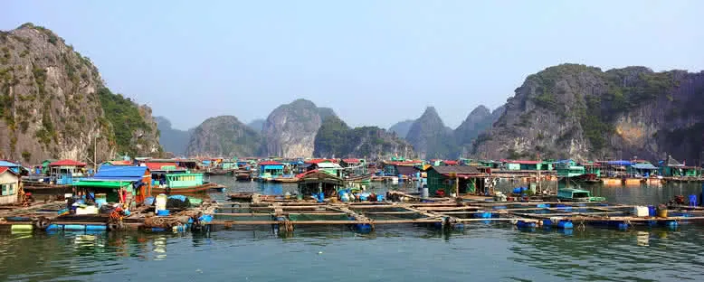 Yüzen Köyler - Halong Bay